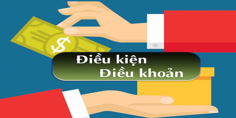 Điều kiện điều khoản vì sao cần quan tâm? 
